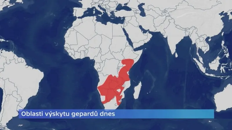 Oblast výskytu gepardů dnes