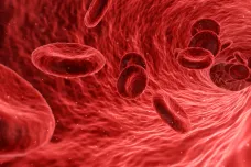 Vědci lidem poprvé podali transfuzi krve vypěstované v laboratoři