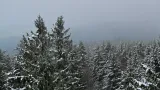 Ve vyšších polohách Jihočeského kraje ležel sněhový poprašek