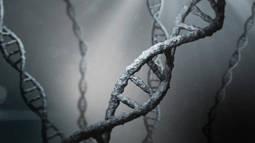 Model DNA