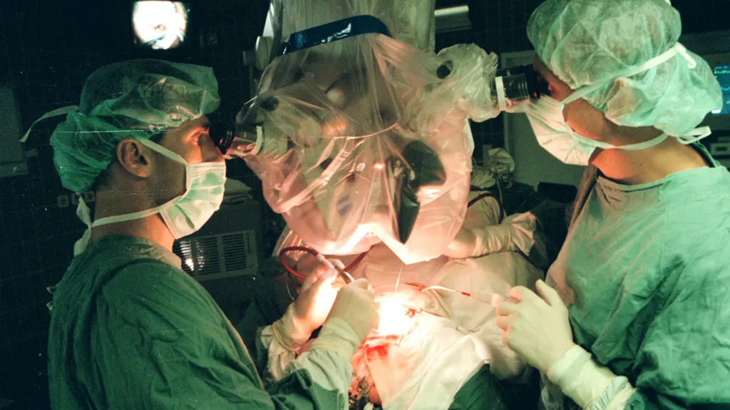 Transplantace
