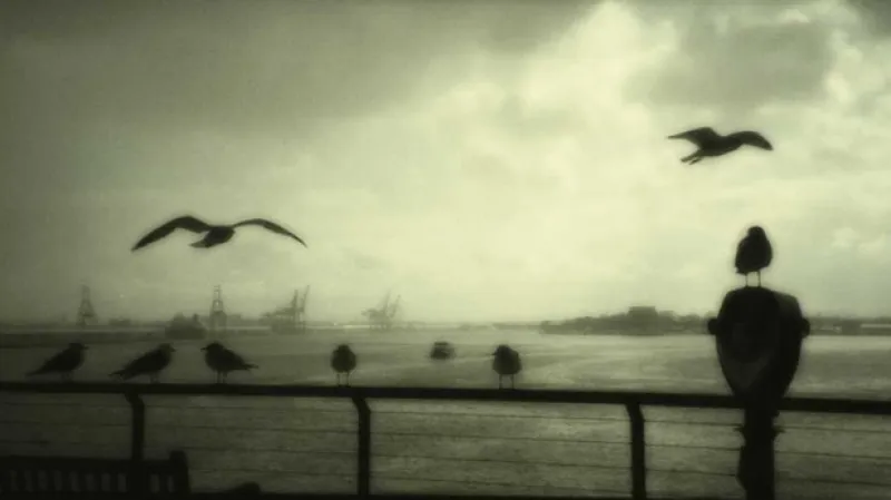 Fotografie Jitky Horázné