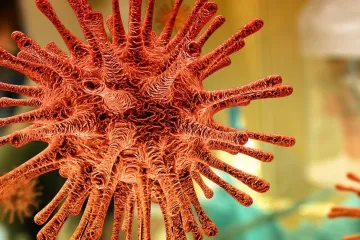 30 otázek a odpovědí, které přinesly 3 měsíce s novým koronavirem