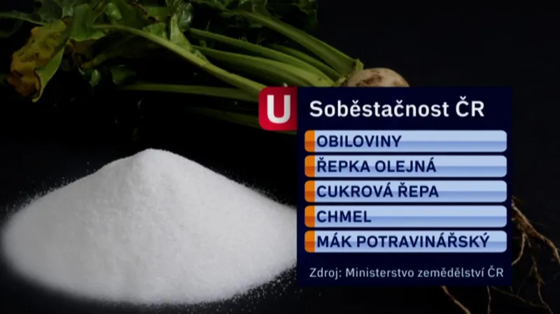 V čem si Česko vystačí samo?