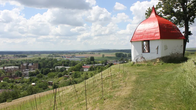 Pohled na zážitkovou vinici nad obcí