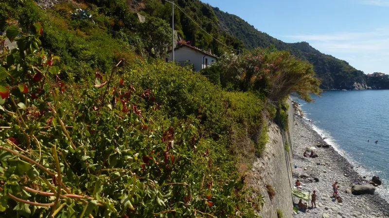 Drsnější pláže poblíž Corniglie
