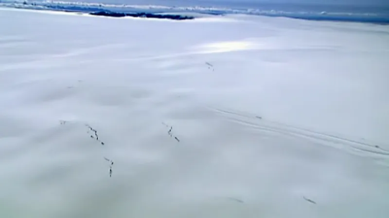 Sopku Bárdarbunga pokrývá ledovec Vatnajökull