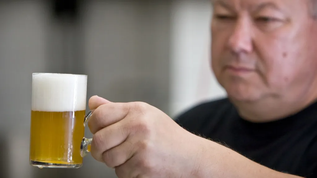 Pivo