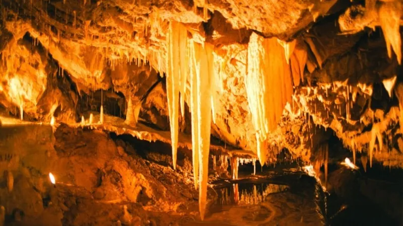 Chráněná krajinná oblast Moravský kras