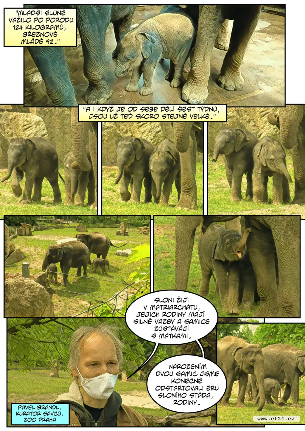 Pražská zoo ukázala druhé slůně