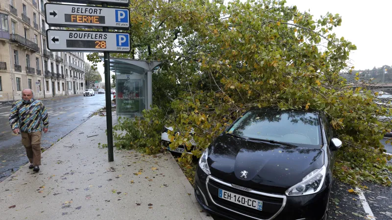 Zlomený strom v jihofrancouzském Bayonne