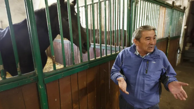 Kadyrovovy koně má v Česku v péči Arslangirej Šavujev