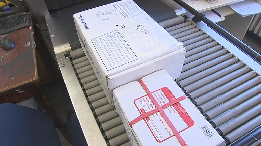 Celníci našli při kontrole zásilek stovky padělků