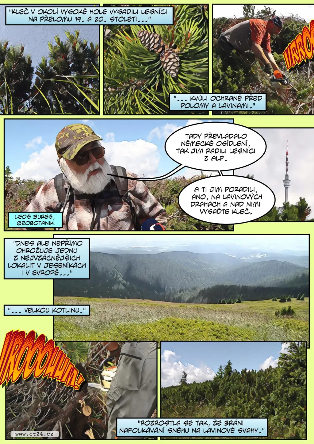 Návrat původních druhů do Jeseníků