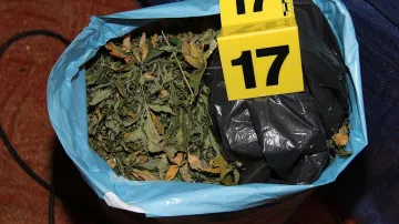 Policisté zabavili sušenou marihuanu