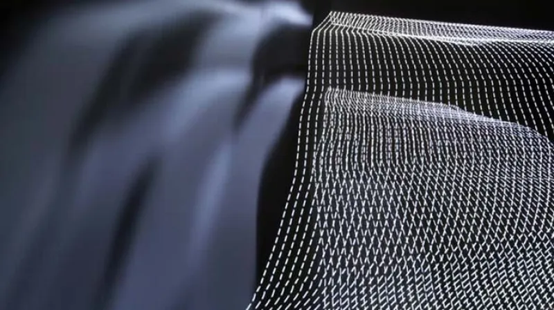 Bořivoj Hořínek - Záznam světla a pohybu 2010 1