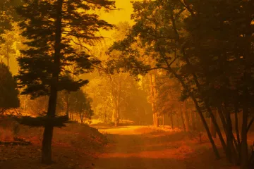 Za dvacet let se zdvojnásobil počet největších lesních požárů