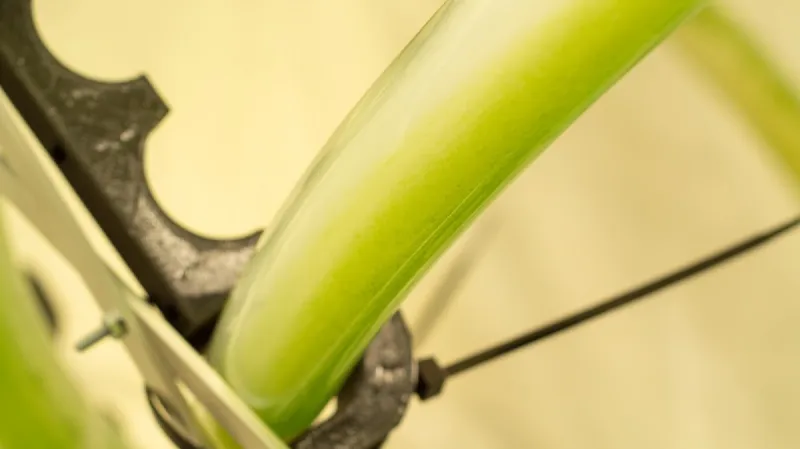 Řasy spotřebovávají díky fotosyntéze oxid uhličitý