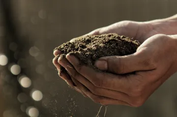 Růst teplot zvyšuje rozmanitost půdních bakterií. Zjištění pomůže klimatickým modelům