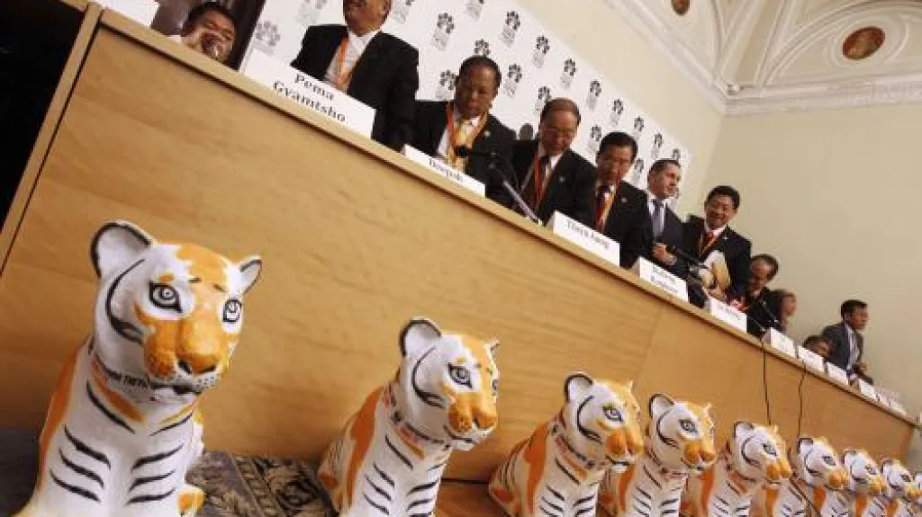 Summit zemí, ve kterých žijí volně tygři