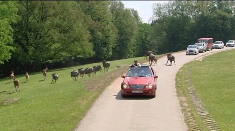 Reportáž Václava Svobody