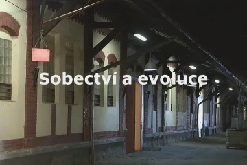 Musíme si pomáhat? Fokus Václava Moravce zkoumal lidské sobectví