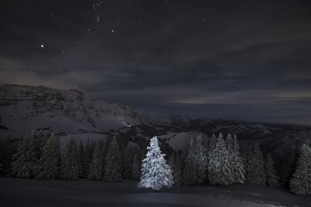Vítěz Národní ceny Švýcarska. Švýcarský Kronberg a solitérně osvětlený strom.