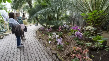 Sbírkový skleník Výstaviště Flora, Olomouc
