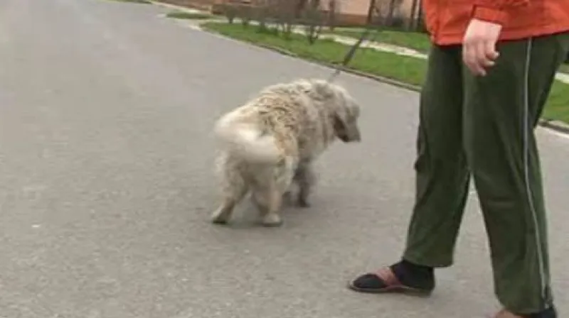 Obyvatelé Chropyně jsou po požáru rozzlobení