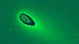 Jádra komety 73P Schwassmann-Wachmann