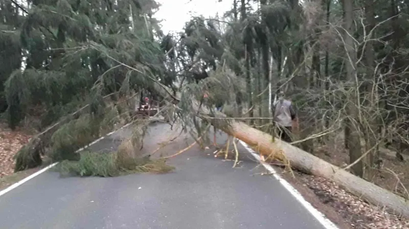 Na Vysočině hasiči odstraňovali spadlé stromy a větve