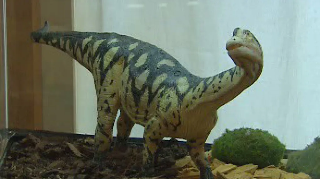 Dinosauři z Argentiny