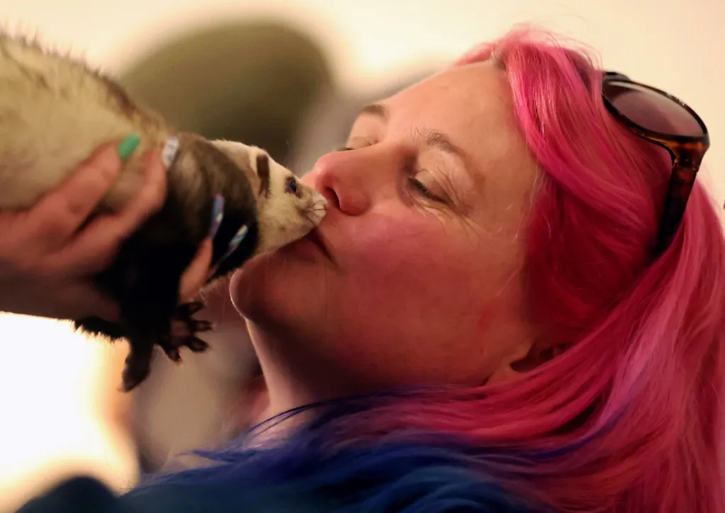 Fretka se během závodů dočkala polibku od své majitelky