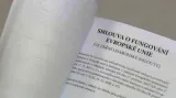 Reportáž Ziny Plchové a Jany Čermákové
