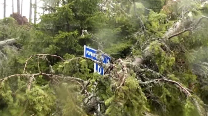 Popadané stromy komplikují na Slovensku dopravu