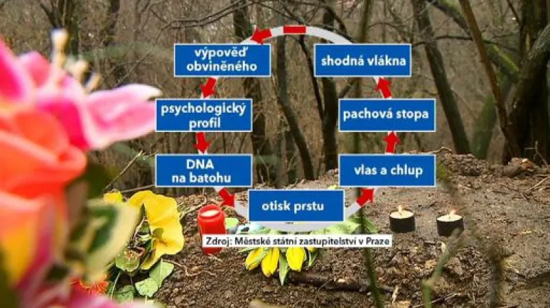 Reportáž Kamily Štíchové