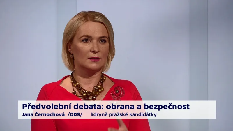 Černochová o právu na držení zbraně