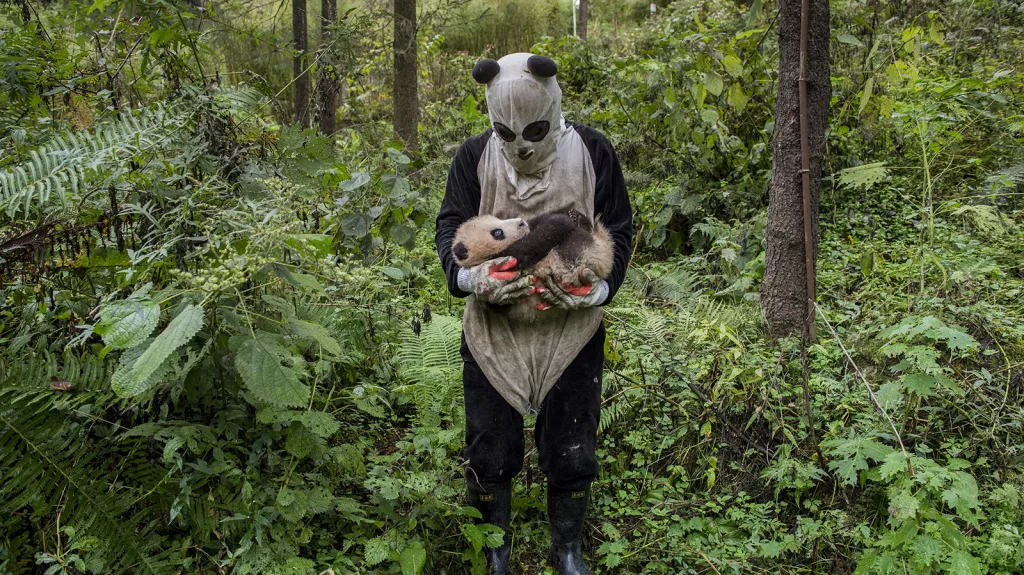 Finalisté Sony World Photography Awards 2017