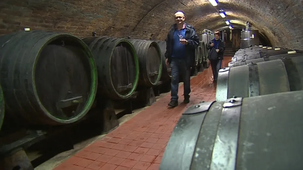 Vinařský sklep v Dolních Dunajovicích