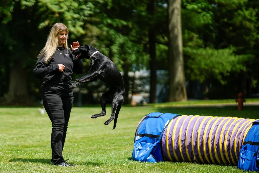Jedna z nejstarších přehlídek psů na světě pořádaná klubem Westminster Kennel Club Dog našla nové místo v zahradách gotické usedlosti zvané Lyndhurst Mansion