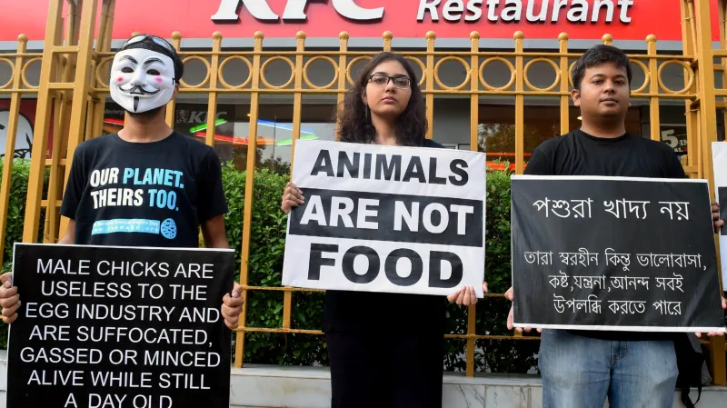 Veganská kampaň v indické Kalkatě