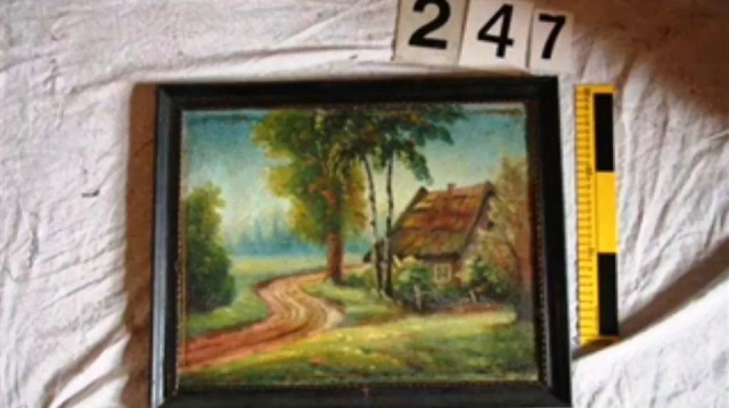 Zajištěný obraz