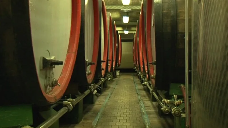 Skladovací prostory likérky Prostějov