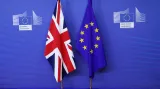 Kytka: Podle Británie by měla EU vyjít vstříc, aby zachovala i zájmy svých výrobců
