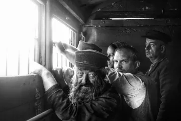 Nabarvené ptáče vyletělo v Benátkách z hnízda. Provázel ho potlesk i odchody z kina