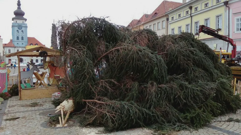 Vítr v Žatci zlomil vánoční strom