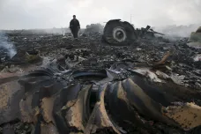 FAKTA: Sestřelení letu MH17