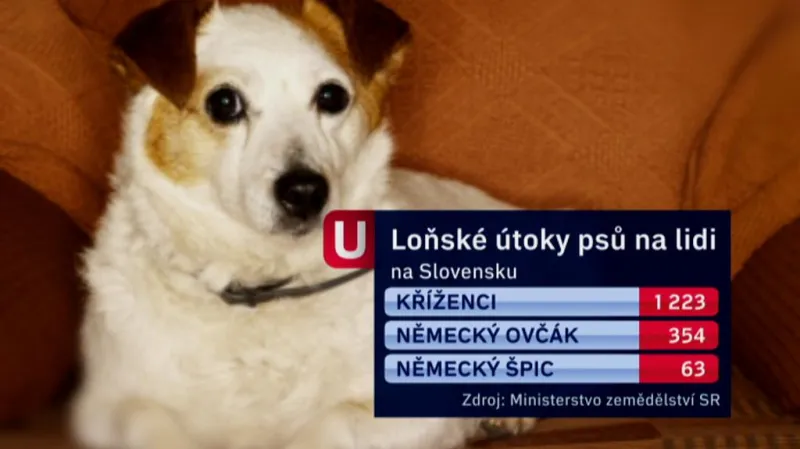 Útoky psů
