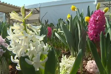 Floru Olomouc si nenechalo ujít 30 tisíc lidí