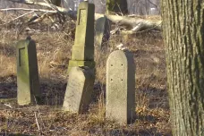 K židovskému tyfovému hřbitovu v Havlíčkově Brodě znovu vede cesta. Zpřístupnit ho pomohli skauti